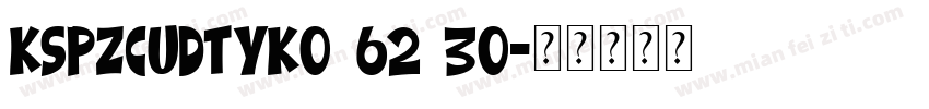 KSPZCUDTYK0 62 30字体转换
